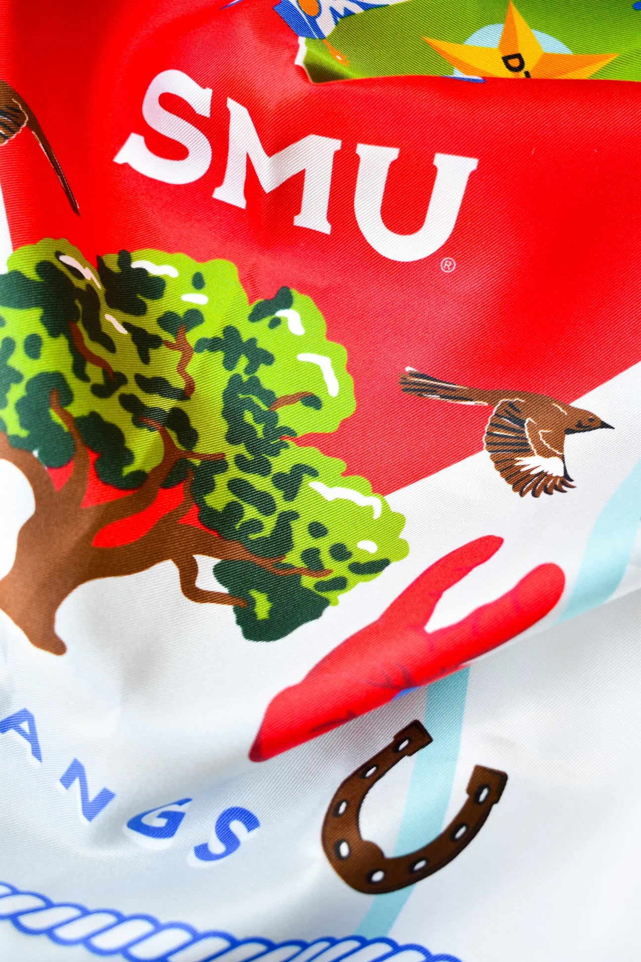 Saturday Silks - SMU Mustangs Saturday Scarf™ - Spinout