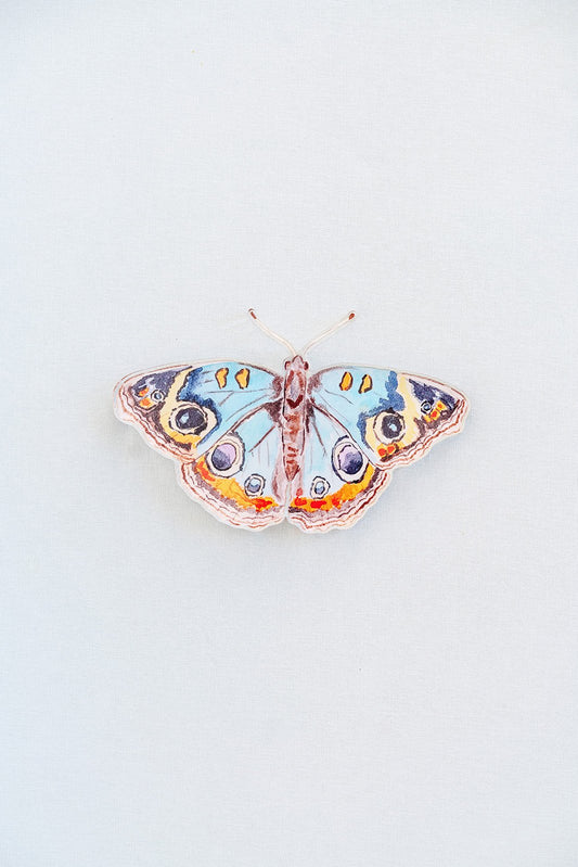 Blue and Orange Butterfly Acrylic Art Block