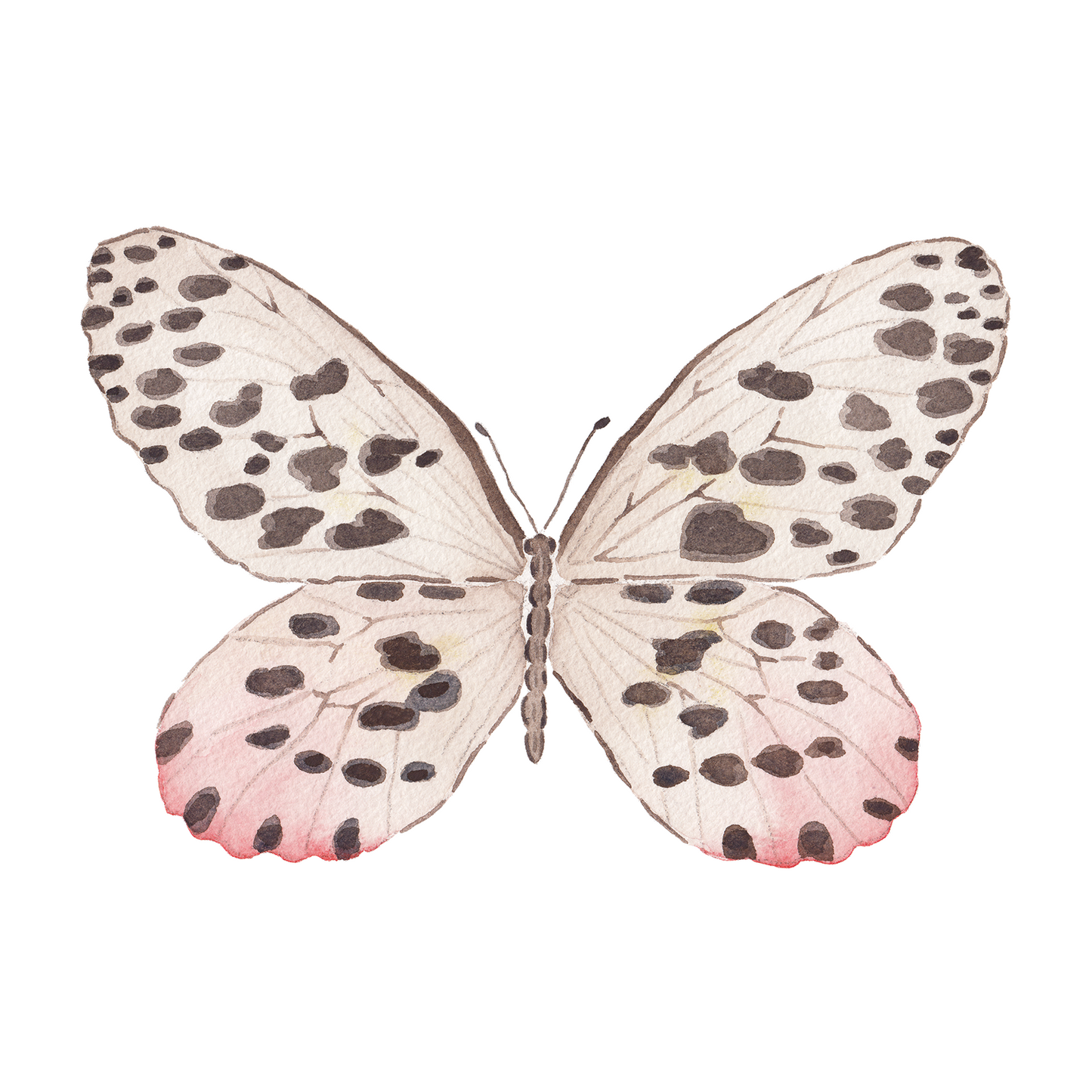 Neutral Spotted Butterfly Acrylic Art Block