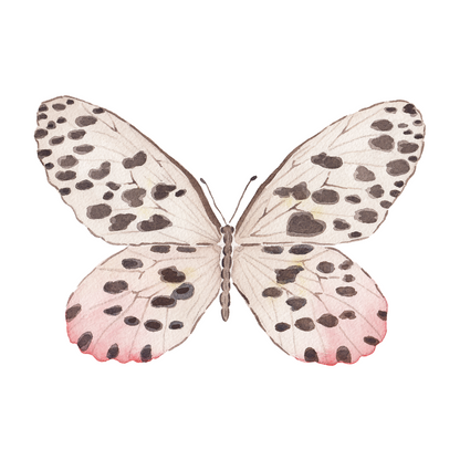 Neutral Spotted Butterfly Acrylic Art Block