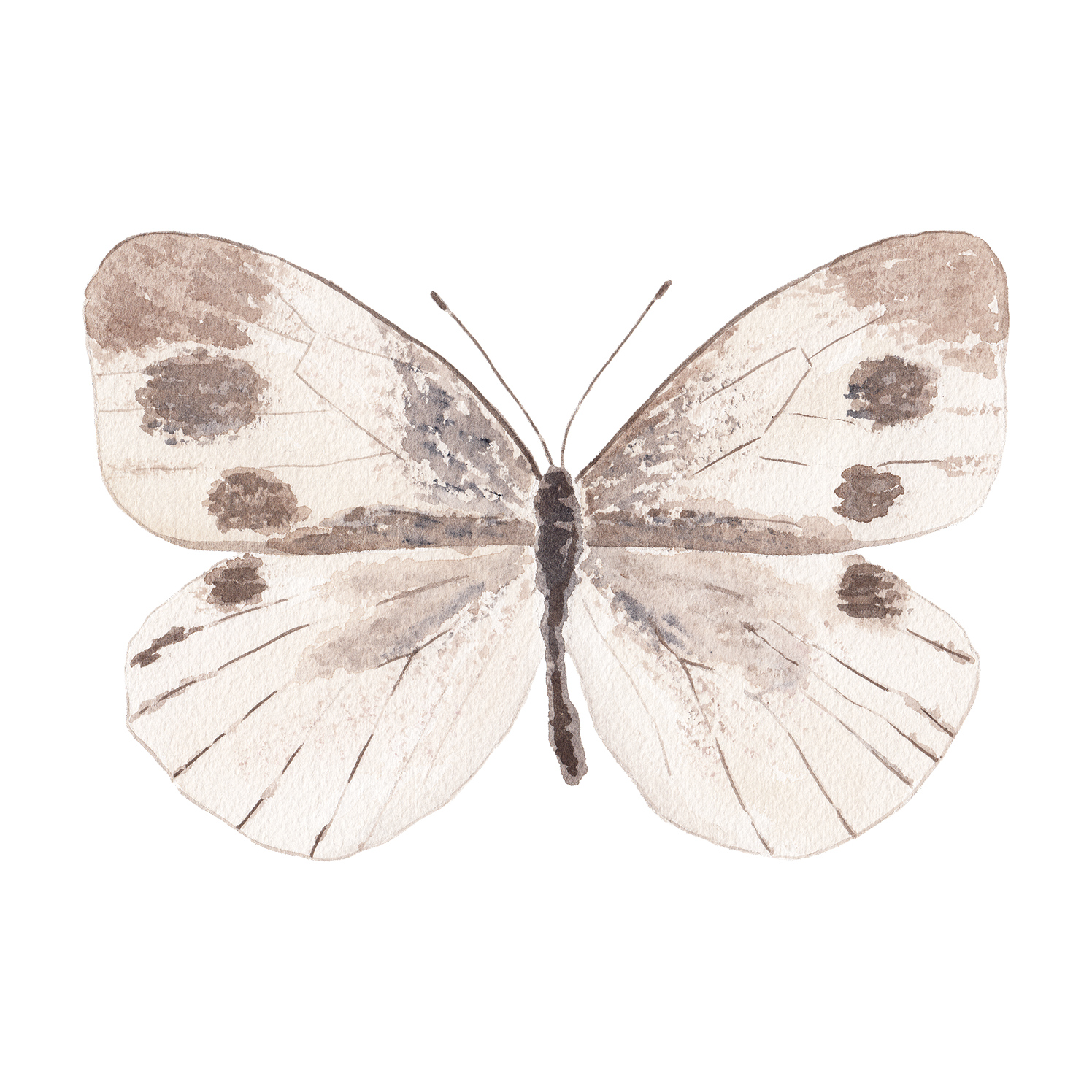 Neutral Butterfly Acrylic Art Block