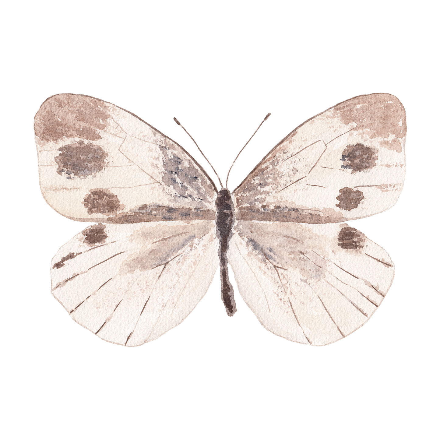 Neutral Butterfly Acrylic Art Block