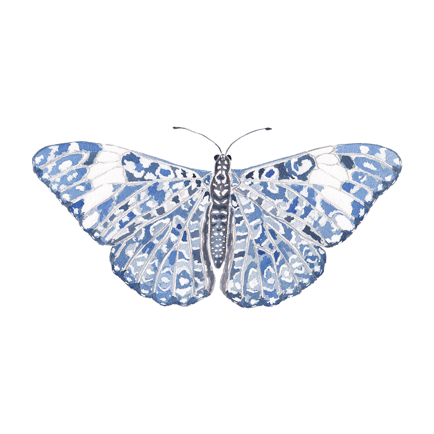Blue Chinoiserie Butterfly Acrylic Art Block