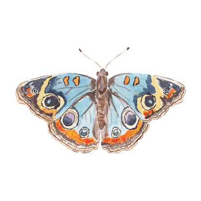 Blue and Orange Butterfly Acrylic Art Block