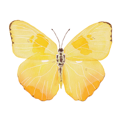 Yellow Butterfly Acrylic Art Block