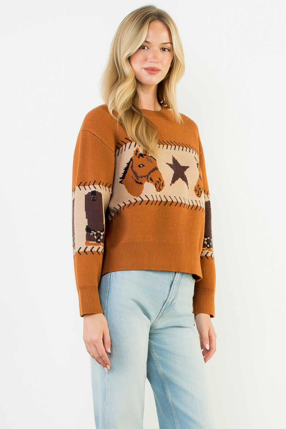 Long Sleeve Knit Sweater - Brown