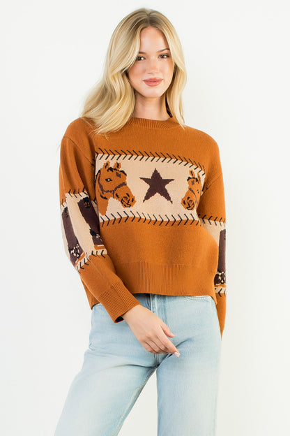 Long Sleeve Knit Sweater - Brown