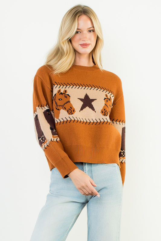 Long Sleeve Knit Sweater - Brown