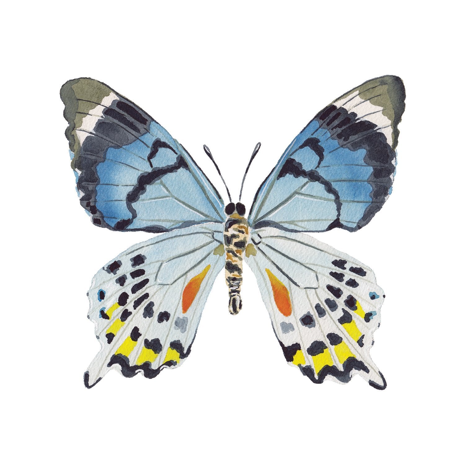 Blue Colorful Butterfly Acrylic Art Block