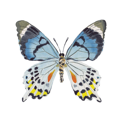 Blue Multi Butterfly Acrylic Art Block
