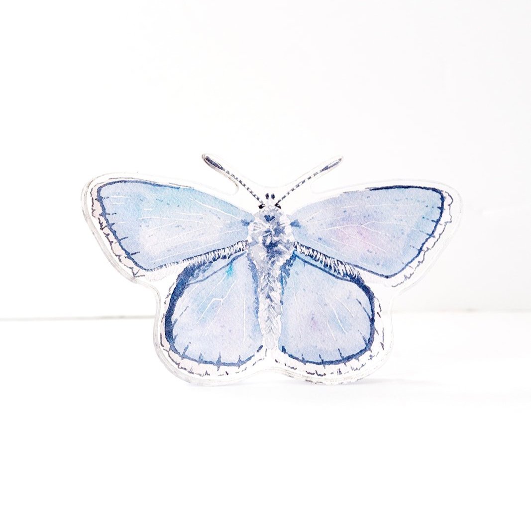 Blue Butterfly Acrylic Art Block