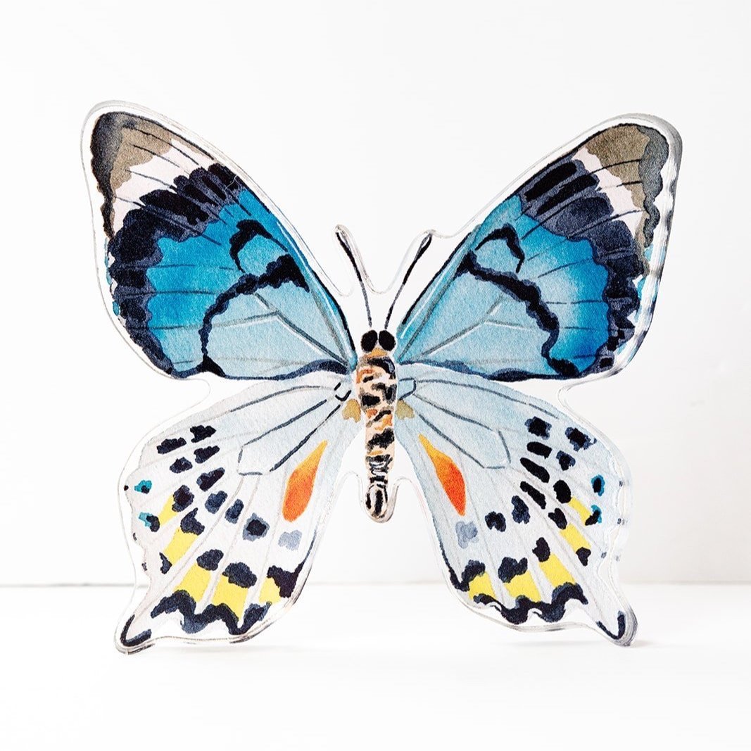 Blue Colorful Butterfly Acrylic Art Block