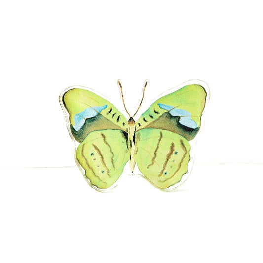 Green Butterfly Acrylic Art Block