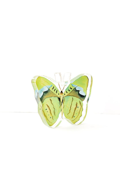 Green Butterfly Acrylic Art Block