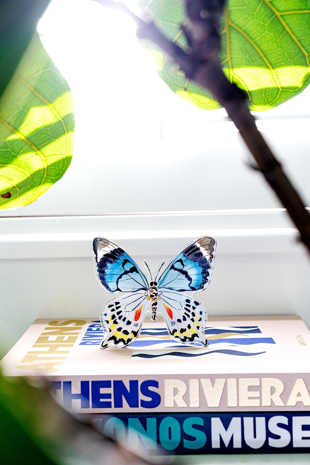 Blue Colorful Butterfly Acrylic Art Block