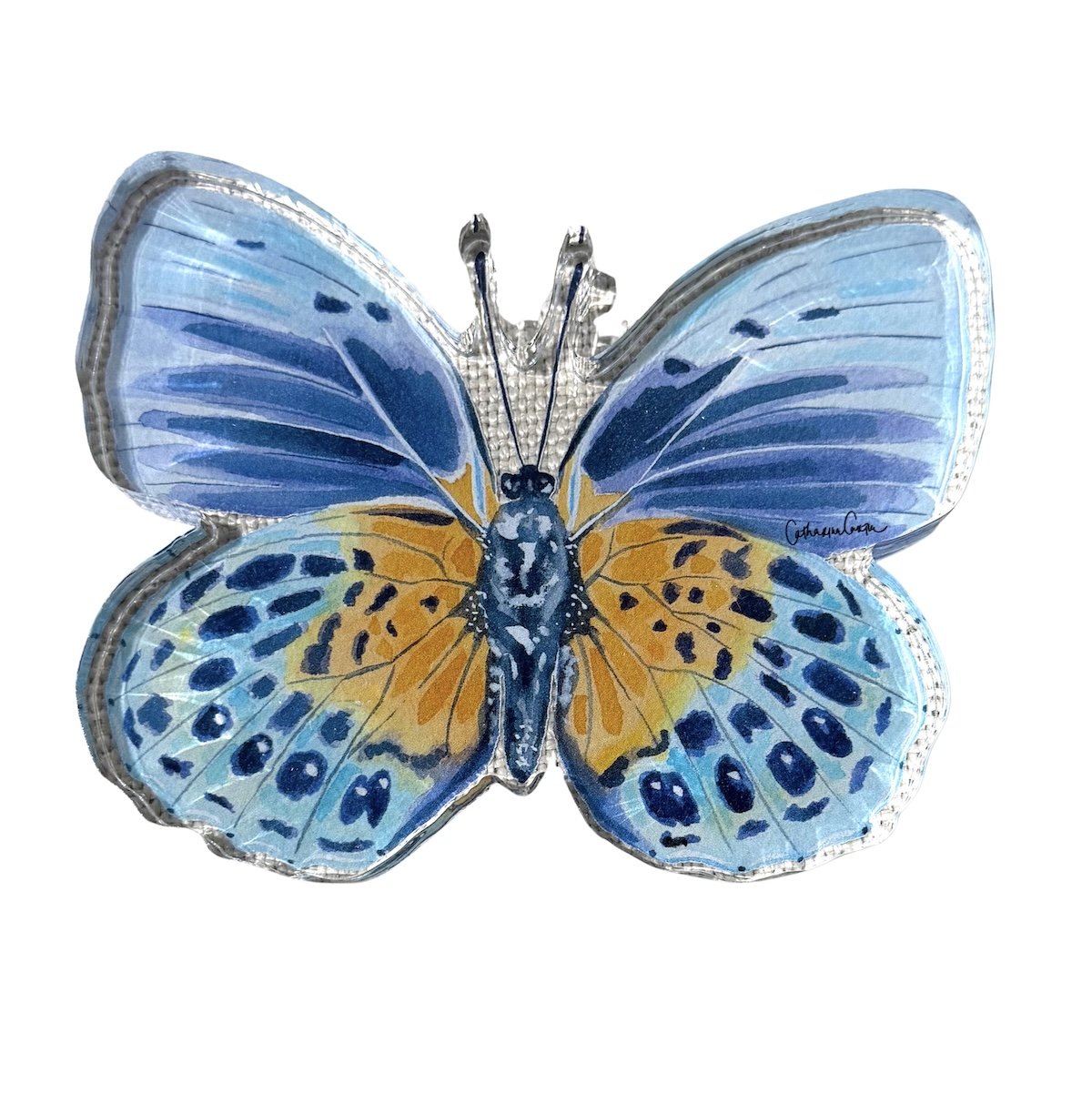 Autumn Blue Butterfly Acrylic Art Block