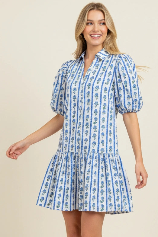 Floral Stripe Puffed Sleeve Mini Dress - Blue