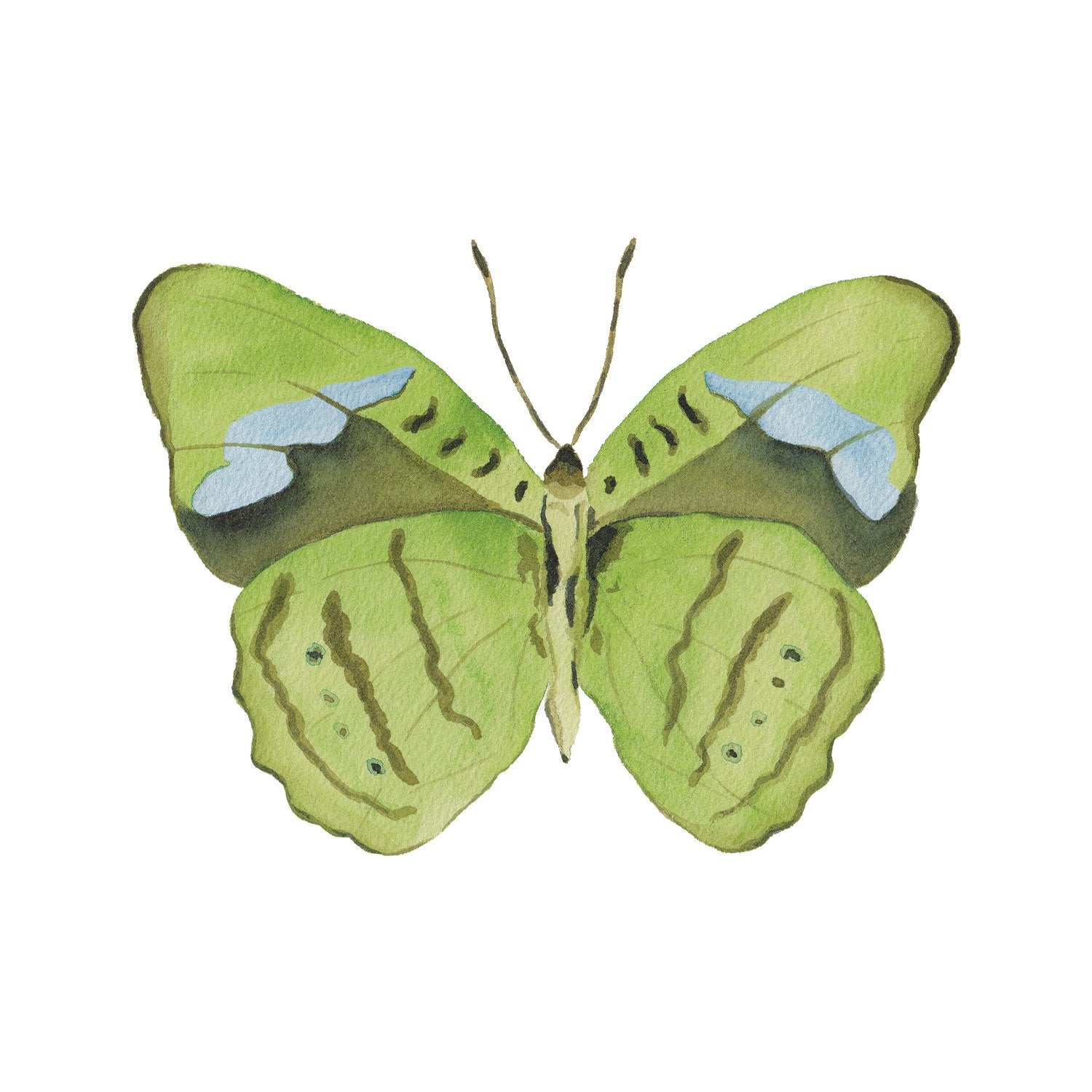 Green Butterfly Acrylic Art Block