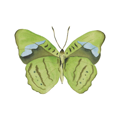 Green Butterfly Acrylic Art Block