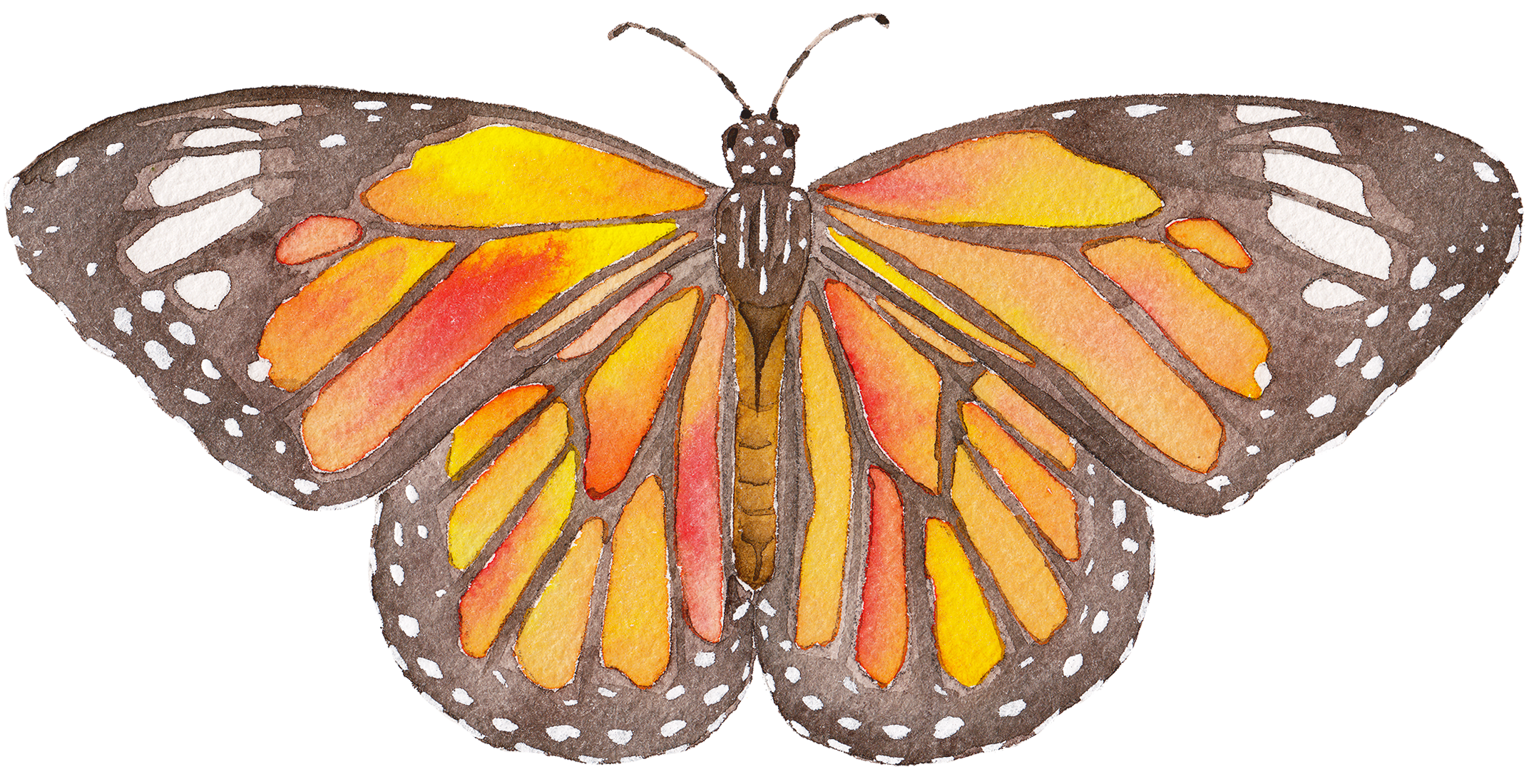 Monarch Butterfly Acrylic Art Block