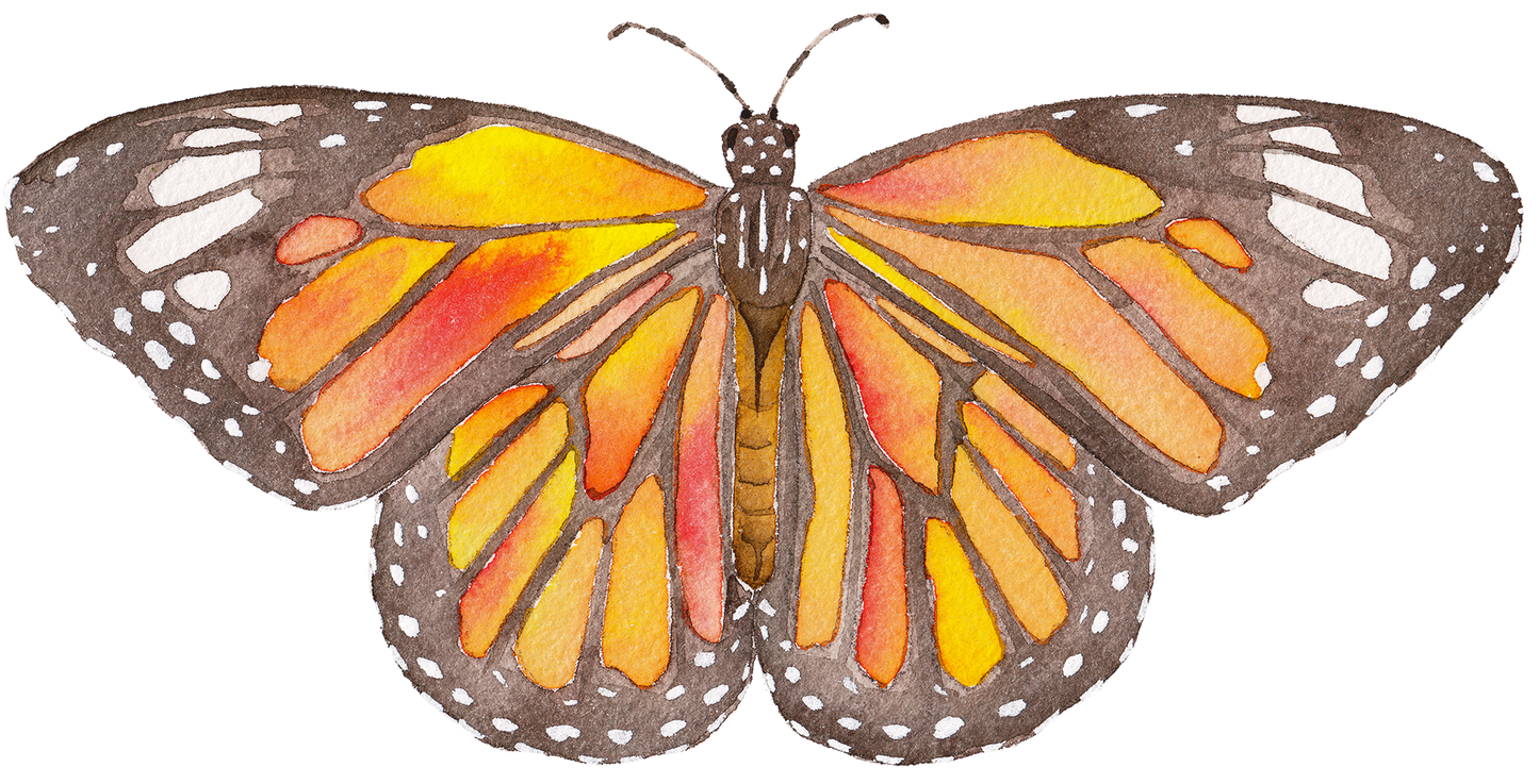 Monarch Butterfly Acrylic Art Block