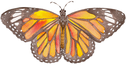 Monarch Butterfly Acrylic Art Block