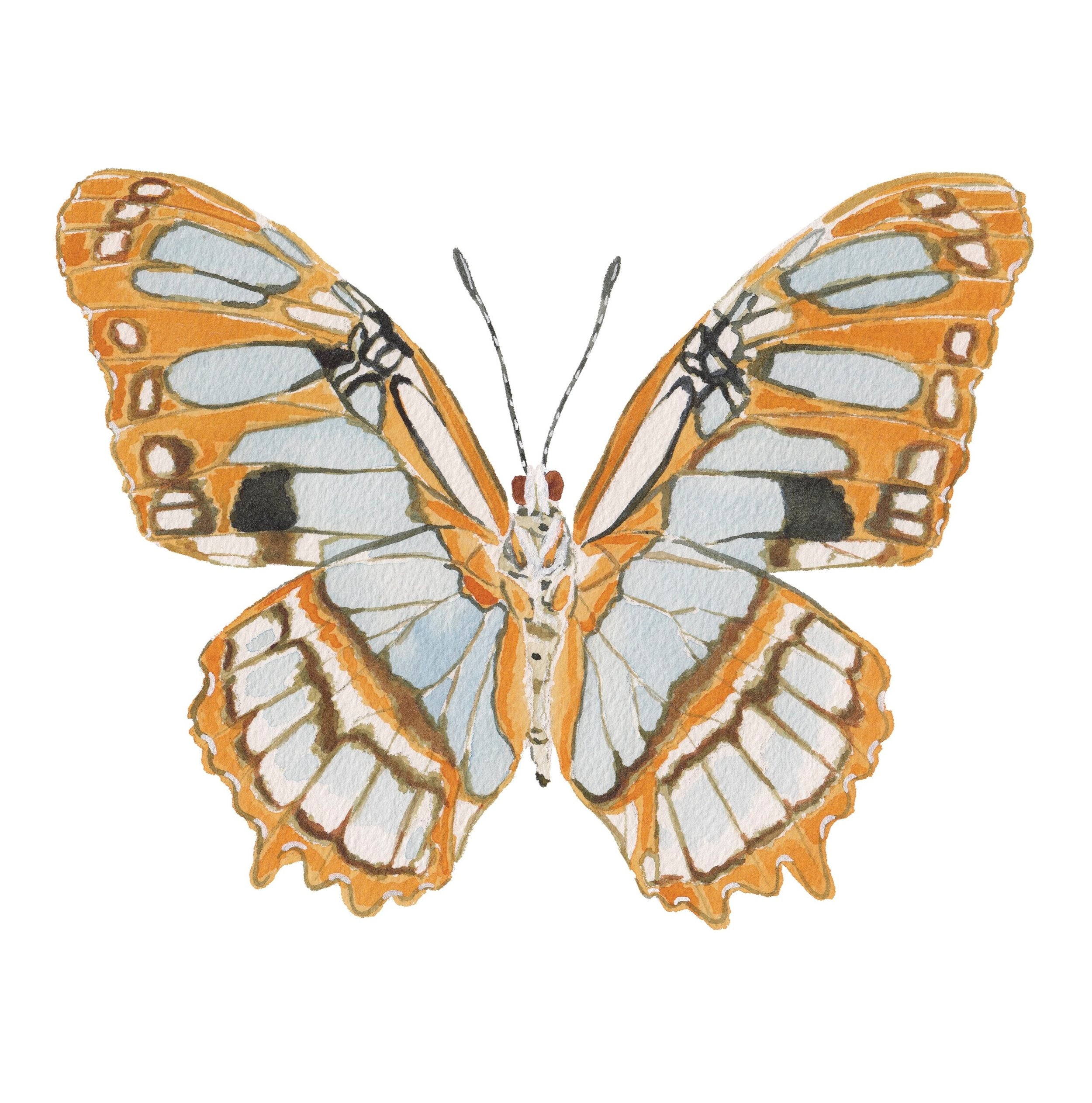 Orange Butterfly Acrylic Art Block