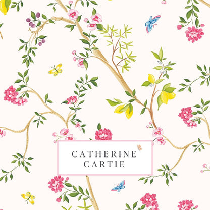 Women's Scripture Cards