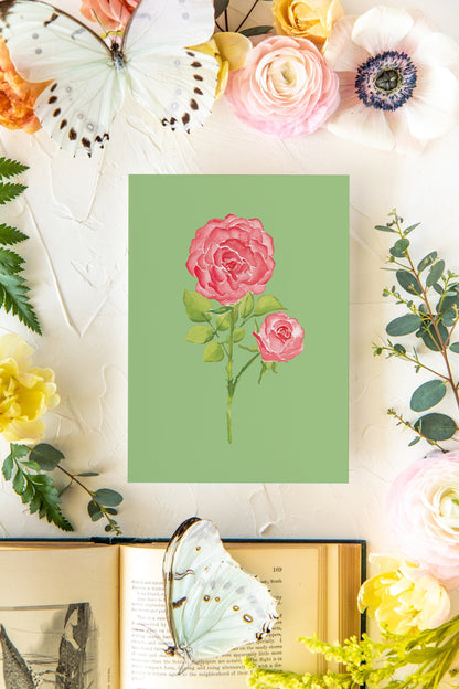 Colorful Botanical 5x7 Print - Rose